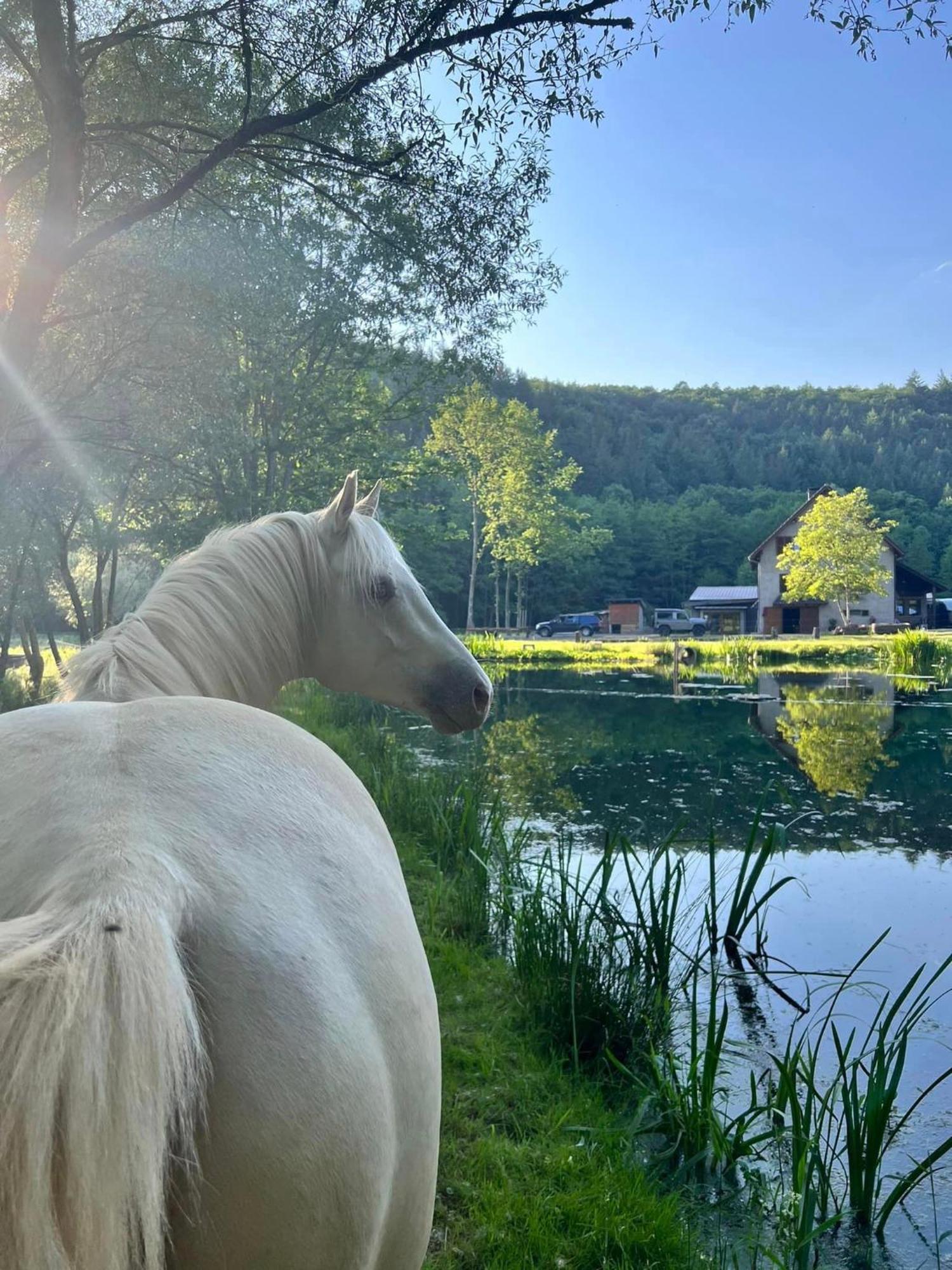 Maison D'Hotes En Pleine Nature Avec Chevaux Soucht Exterior foto